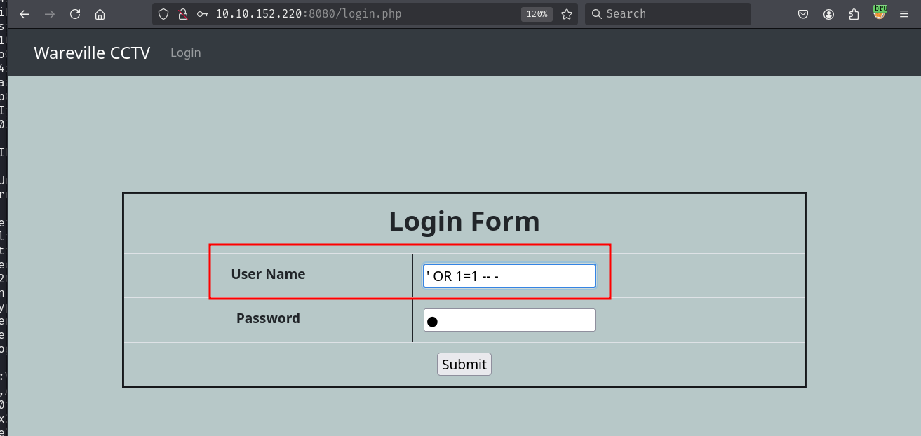 CCTV login bypass